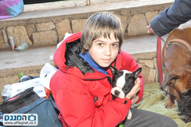 תמונה גדולה